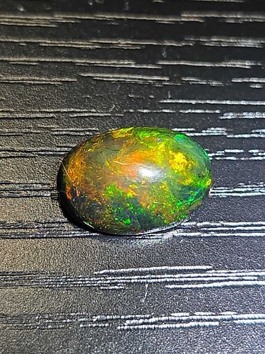 Lot #21 (1 of 14)