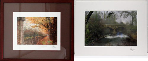 Lot #51 (1 of 6)