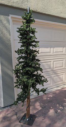 Lot #35 (1 of 4)