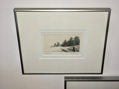 Lot #51 (1 of 6)