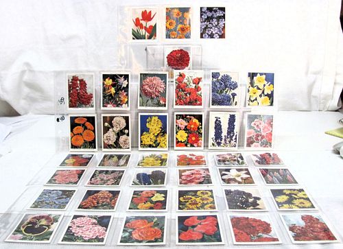 Lot #46 (1 of 11)