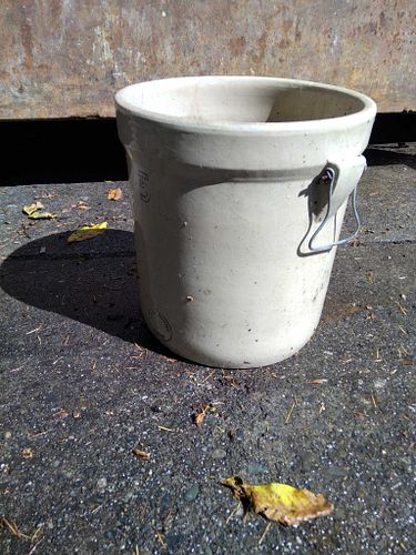 Lot #49 (1 of 5)