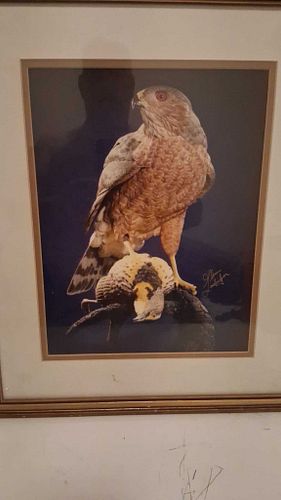 Lot #42 (1 of 4)