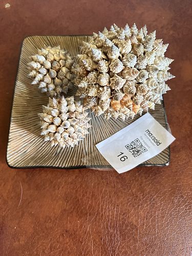 Lot #16 (1 of 5)