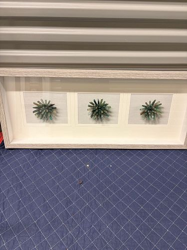 Lot #28 (1 of 6)