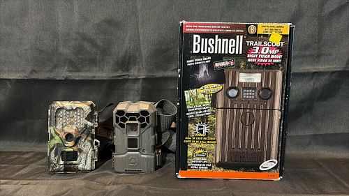 Lot #310 (1 of 20)