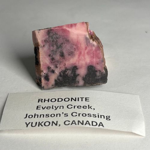 Lot #49 (1 of 4)