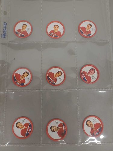 Lot #16 (1 of 19)