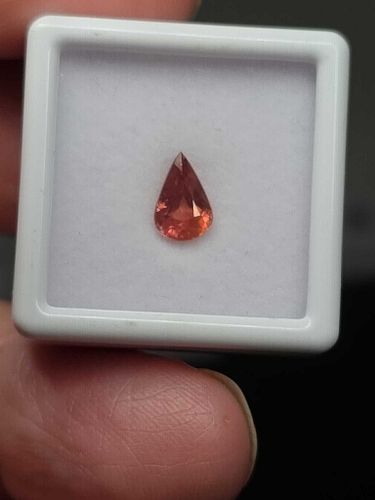 Lot #10 (1 of 16)