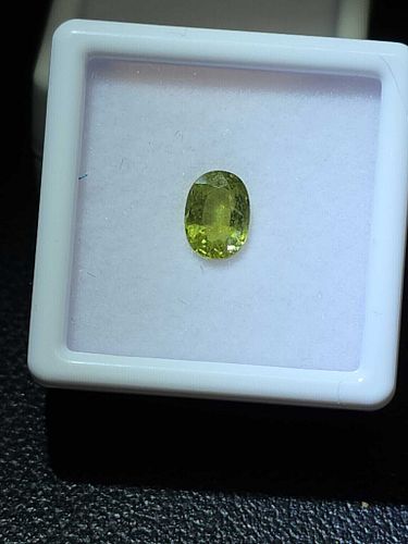 Lot #48 (1 of 8)