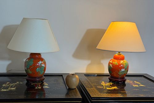 Lot #498 (1 of 10)