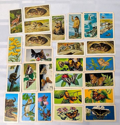 Lot #25 (1 of 13)