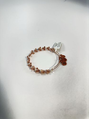 Lot #18 (1 of 3)