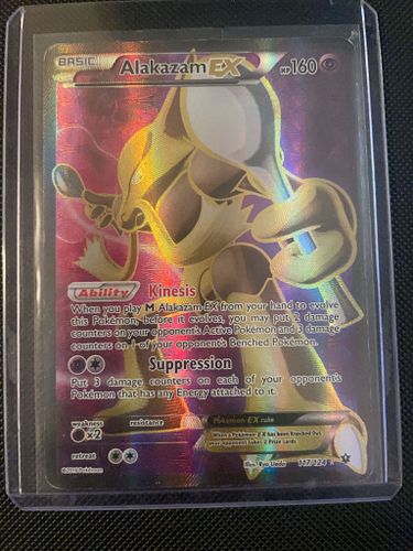 Lot #23 (1 of 6)