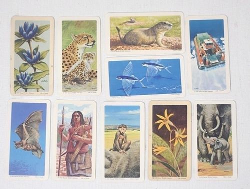 Lot #351 (1 of 2)