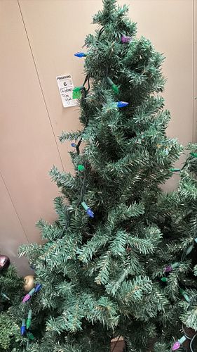 Lot #6 (1 of 7)