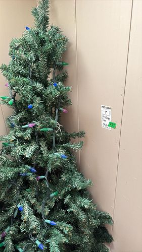 Lot #7 (1 of 7)