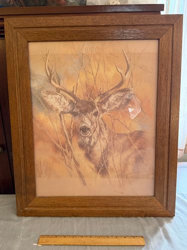 Lot #54 (1 of 1)