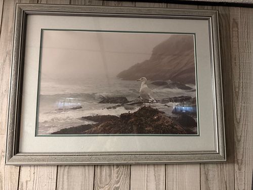 Lot #251 (1 of 1)