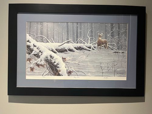 Lot #7 (1 of 6)