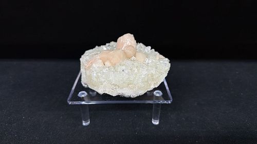 Lot #247 (1 of 6)