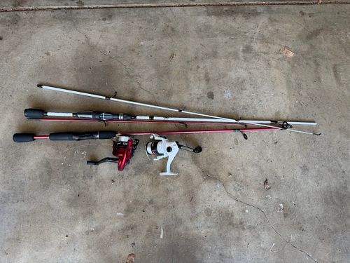 Lot #12 (1 of 1)