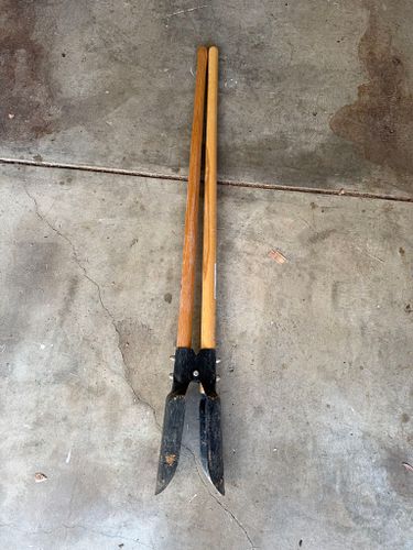 Lot #15 (1 of 3)