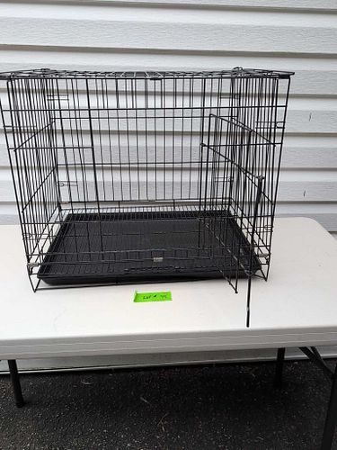 Lot #45 (1 of 6)