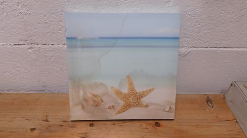 Lot #62 (1 of 3)
