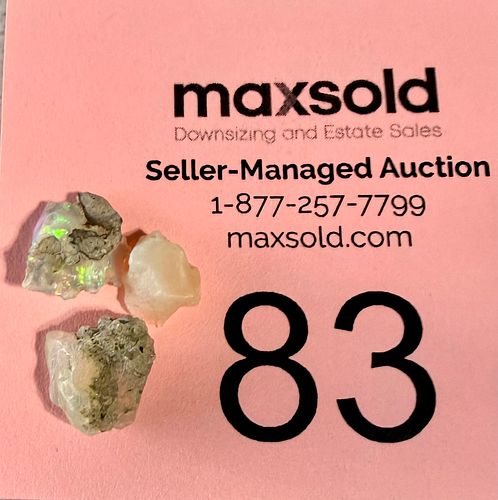 Lot #83 (1 of 2)