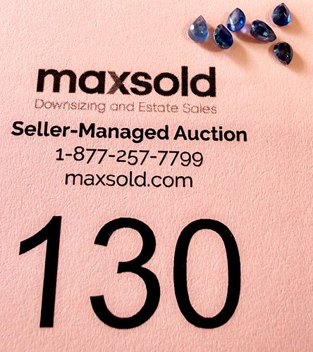 Lot #130 (1 of 2)