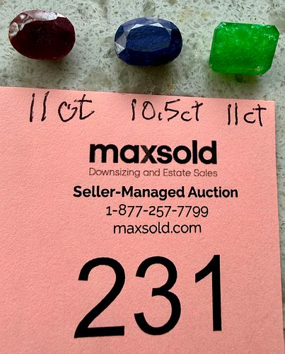 Lot #231 (1 of 4)