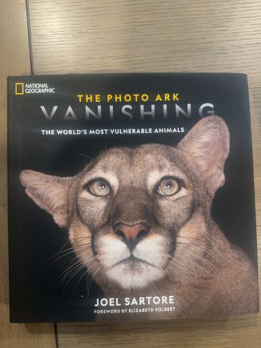 Lot #13 (1 of 5)
