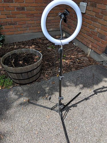 Lot #81 (1 of 3)