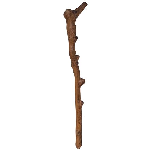 Lot #72 (1 of 8)