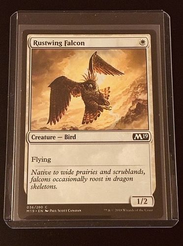 Lot #57 (1 of 3)