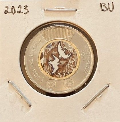 Lot #102 (1 of 3)