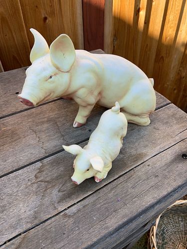 Lot #15 (1 of 6)