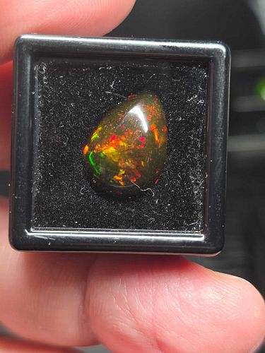 Lot #29 (1 of 11)