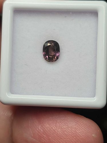 Lot #52 (1 of 18)