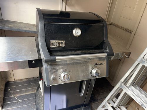 Lot #265 (1 of 12)