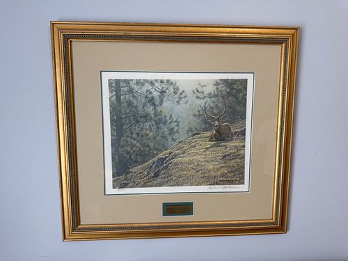 Lot #22 (1 of 6)