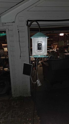 Lot #157 (1 of 7)