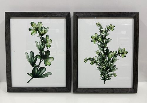 Lot #59 (1 of 5)