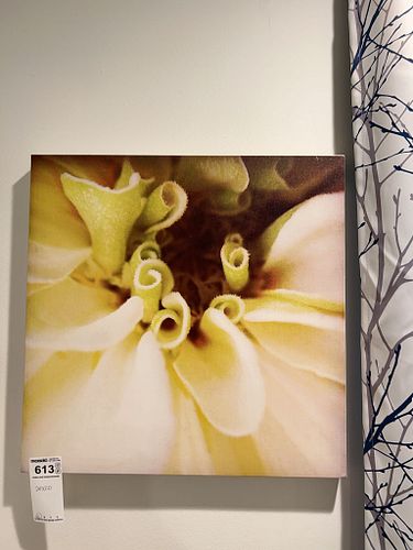 Lot #613 (1 of 7)