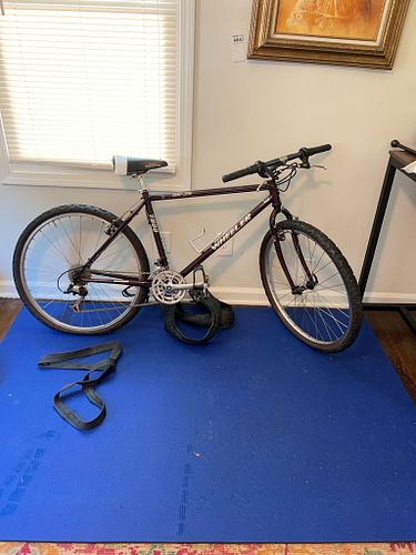 Lot #691 (1 of 10)