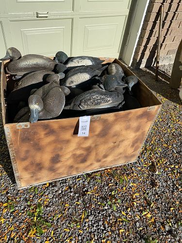 Lot #14 (1 of 6)