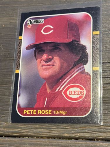 Lot #8 (1 of 3)