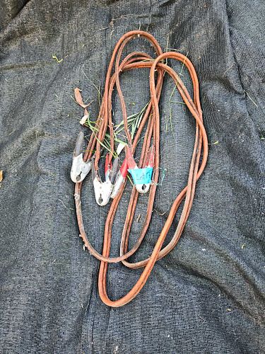 Lot #17 (1 of 3)