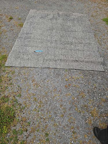 Lot #56 (1 of 4)